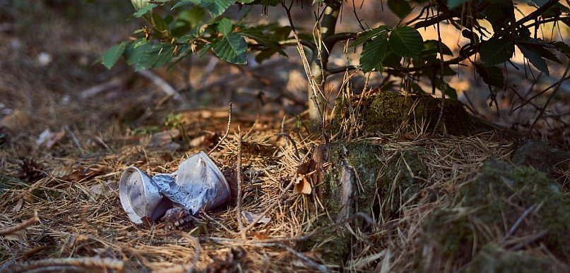 Kary za zaśmiecanie lasów mają być wyższe
