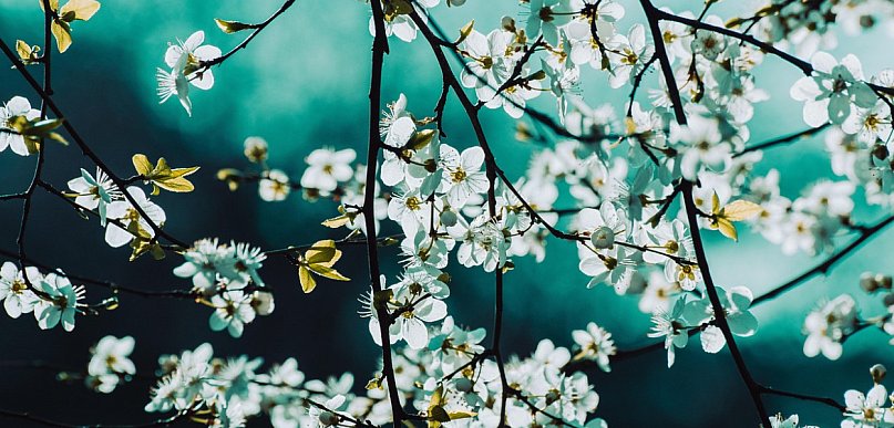 Ocieplenie na Wielkanoc; wysoka temperatura...