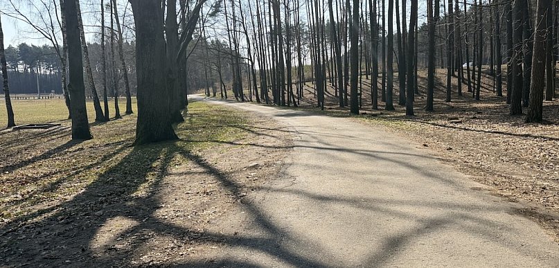 Rowerem pod Częstochową. Te trasy zachwycają lasami i spokojem