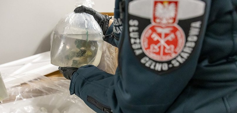 Udaremniony przemyt prawie 1,5 tony rafy koralowej