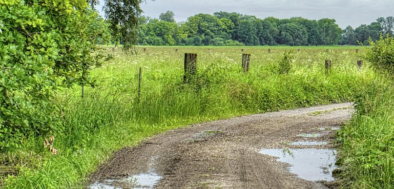 Błoto znika raz na zawsze! Rusza przebudowa drogi w gminie Winnica