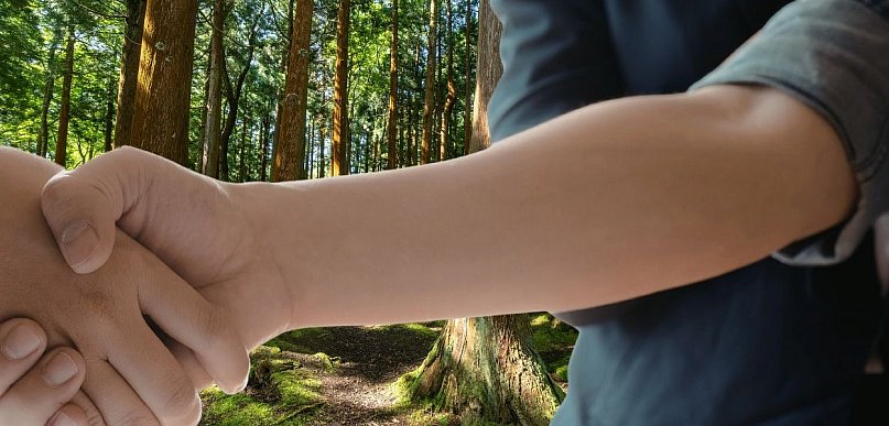 Sprzedaż lasu w regionie Pułtuska? Nadleśnictwo ogłosiło warunki