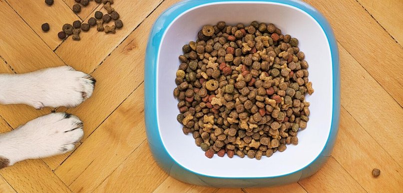 Pułtusk pomaga zamiast tylko wspominać. Trwa wyjątkowa akcja