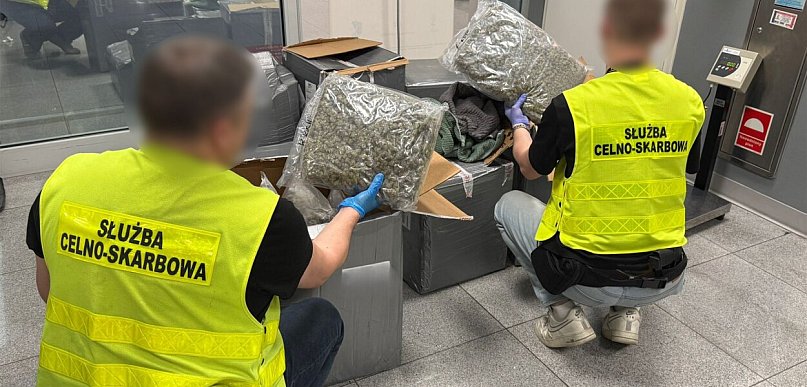 50 kg marihuany o wartości prawie 2,5 mln zł. ukryte w odzieży