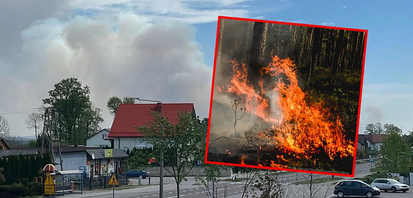 Płonie Puszcza Solska! Szykują ewakuację mieszkańców!