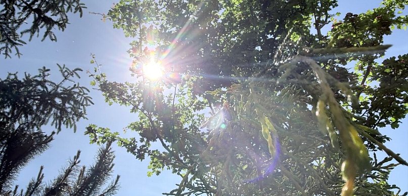 Przed nami ciepły i słoneczny weekend 🌞