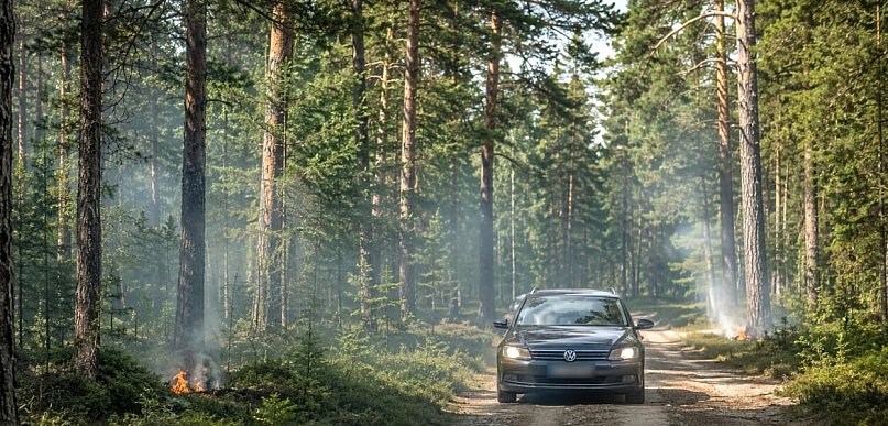 "Płomień Zero 26” w Nadleśnictwie Pułtusk. Leśnicy ostrzegają