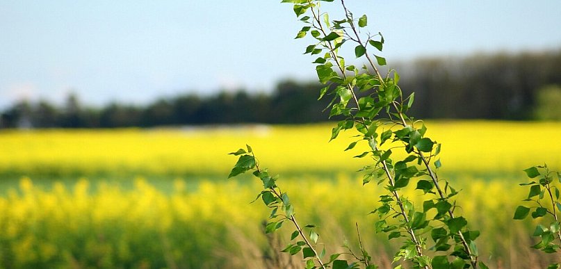 Najbliższe dwa dni przyniosą stopniową poprawę pogody