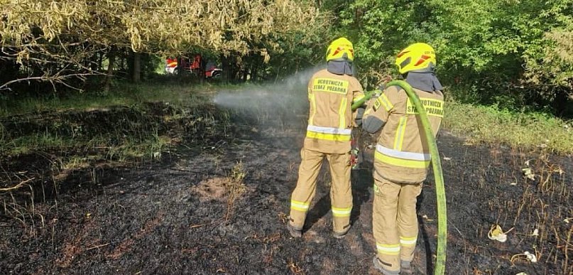 Las uratowano dzięki szybkiej reakcji strażaków, leśników i mieszkańców