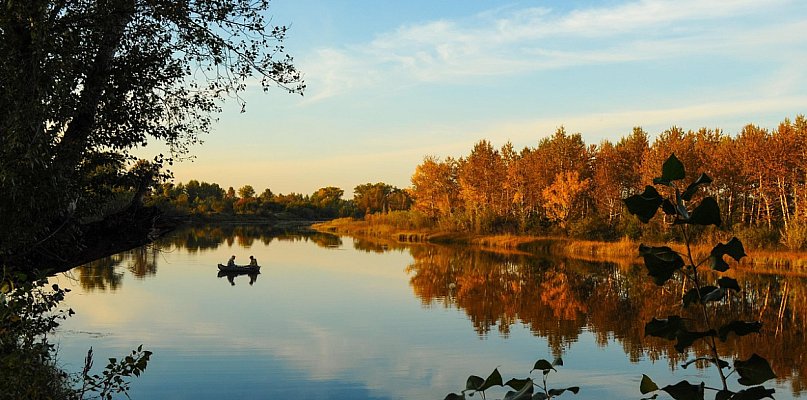 Rolne, budowlane, rekreacyjne – listopad przyniósł lawinę ofert! - 34335