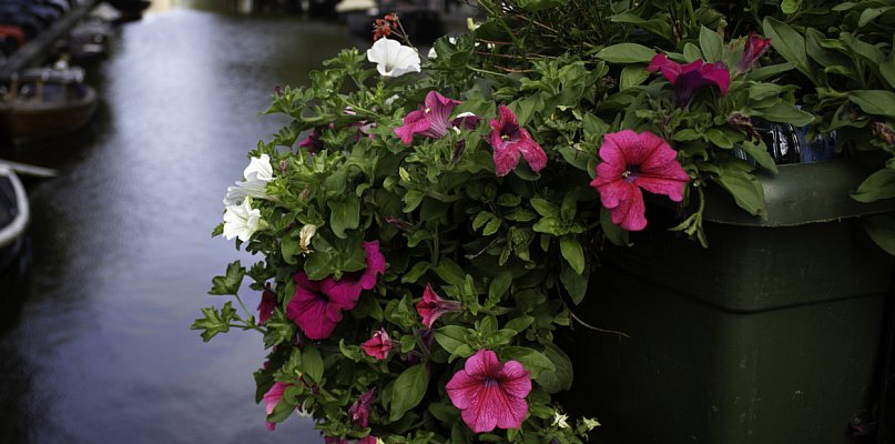 Wielkie wydatki w Pułtusku. Tego spodziewajmy się w 2026 roku