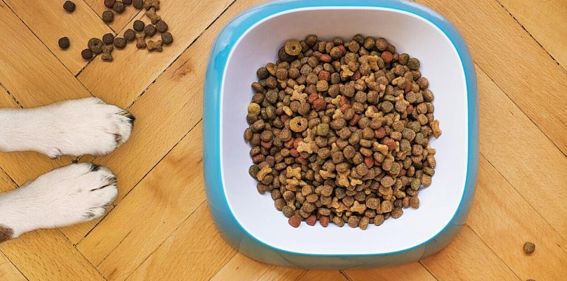 Pułtusk pomaga zamiast tylko wspominać. Trwa wyjątkowa akcja