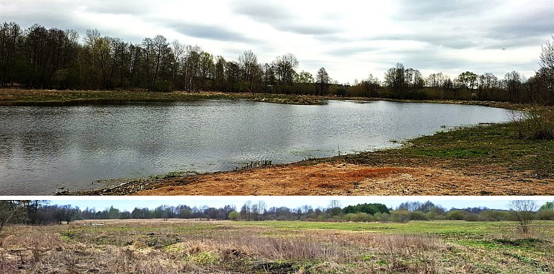 Nowa Natura 2000 w powiecie pułtuskim? Chodzi o cenne murawy i wydmy