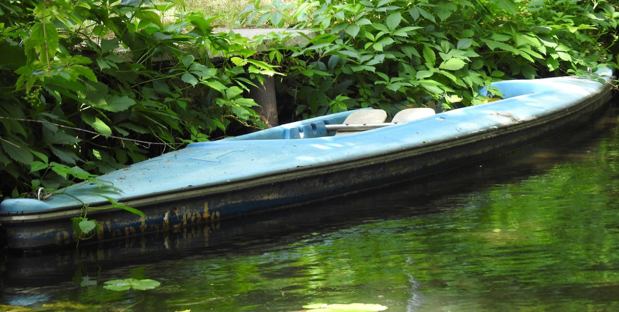 Obraz Ada K z Pixabay