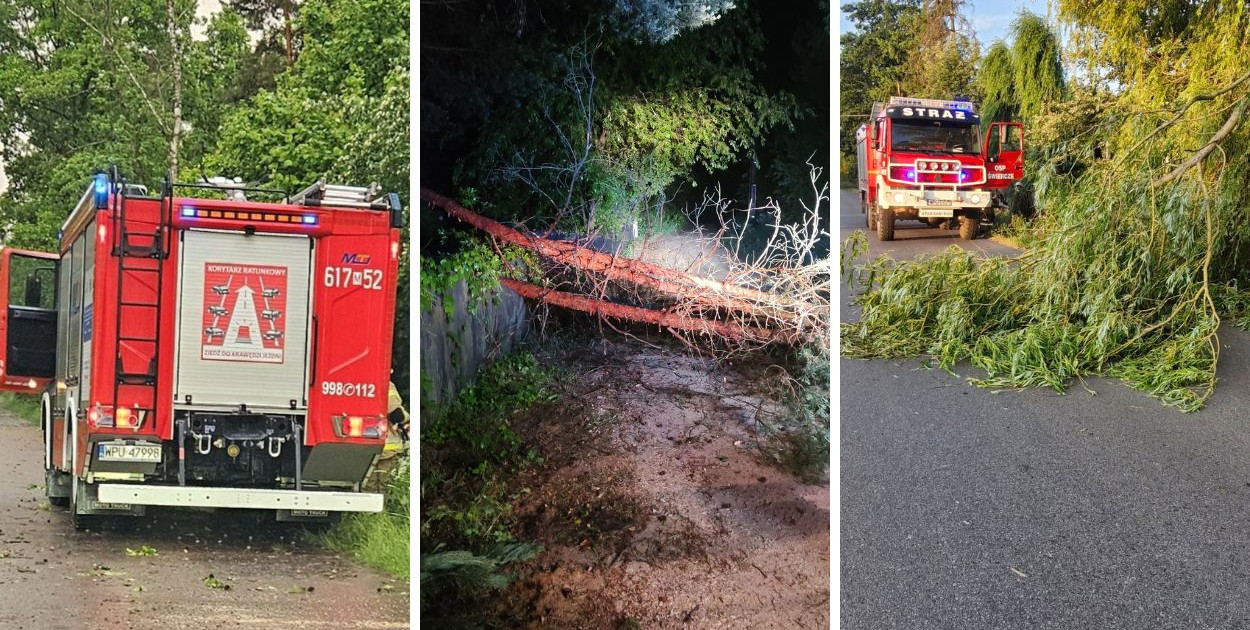 Pułtuscy strażacy w akcji