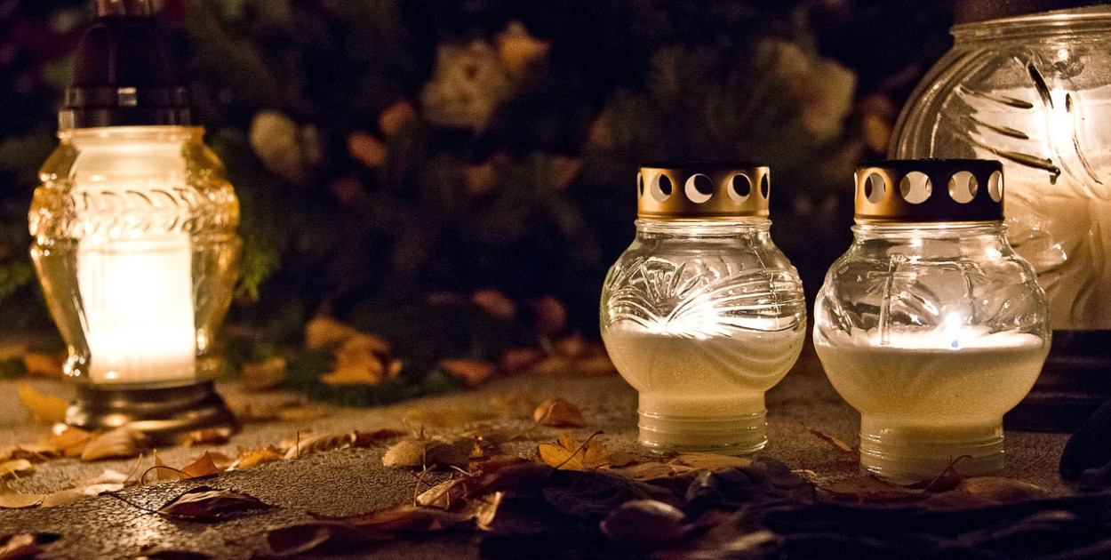 Obraz goszka z Pixabay