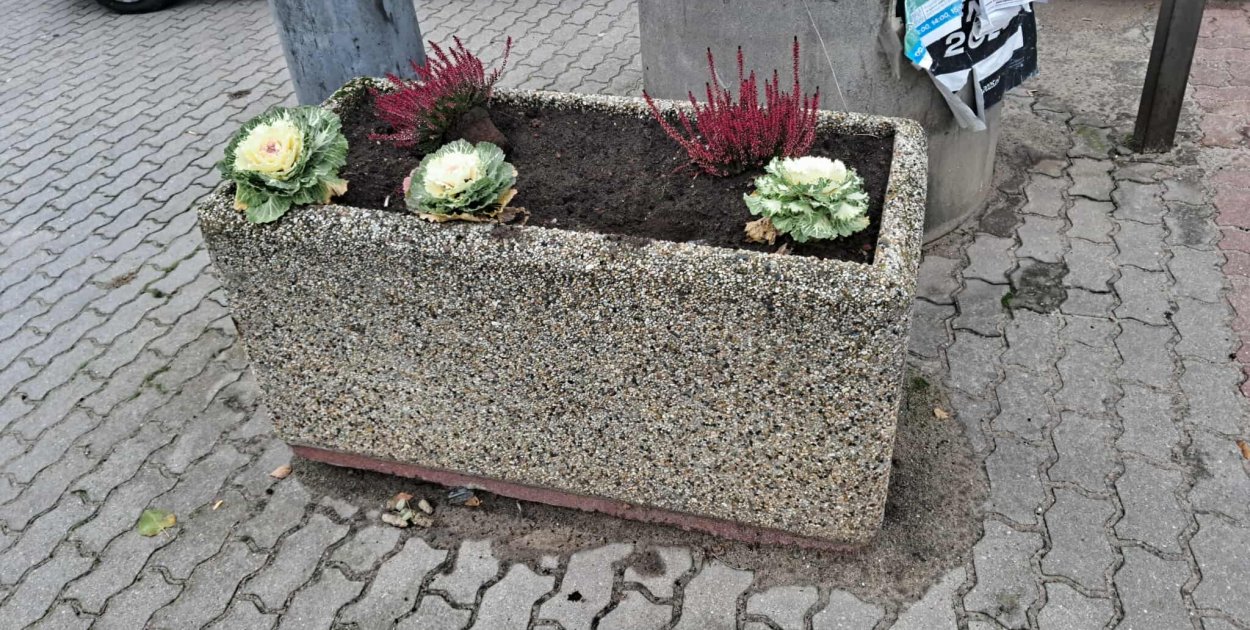 Zdjęcie Urzędu Miejskiego w Pułtusku