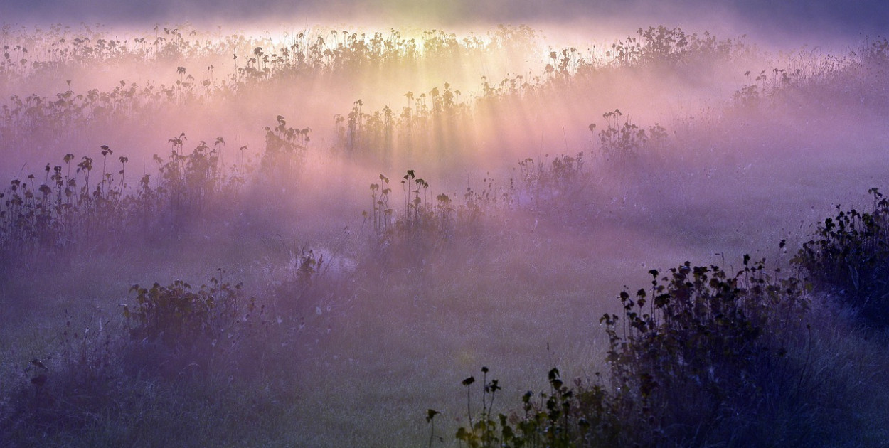 Artur Pawlak z Pixabay