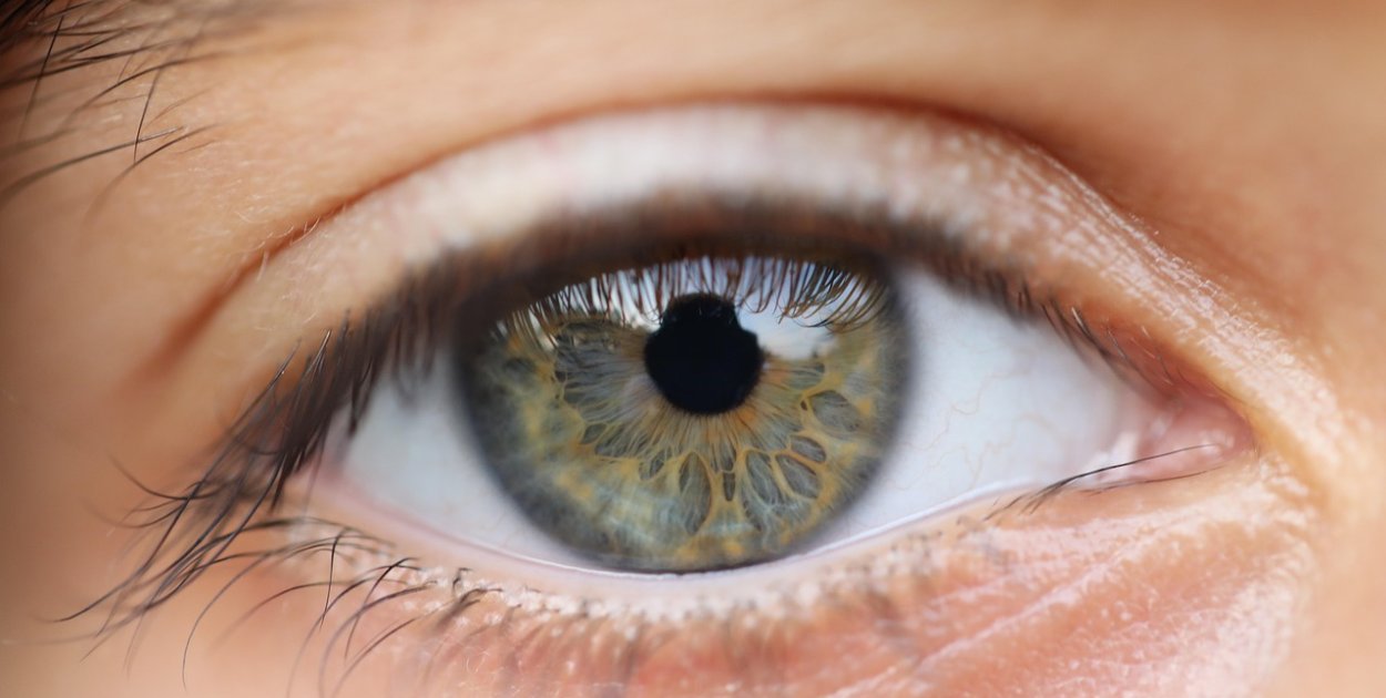 Image by Jonas Zareinia from Pixabay.com