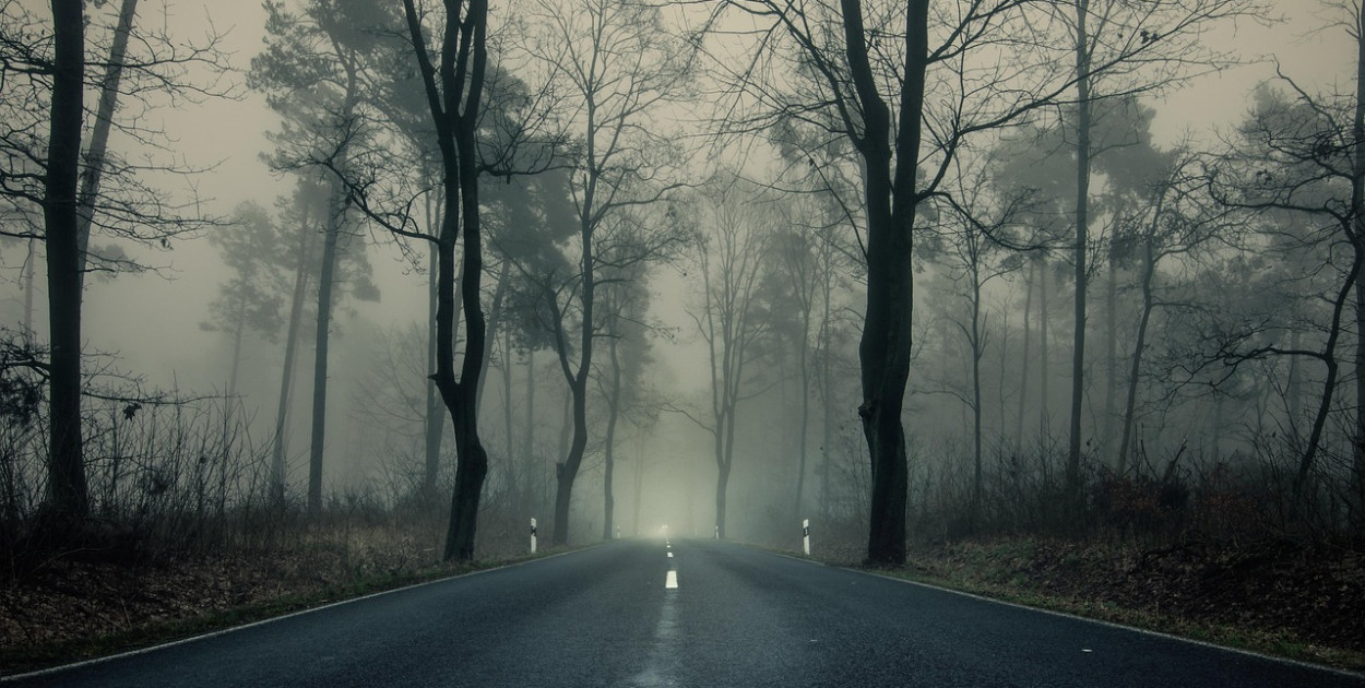 Wieczorna mgła ograniczająca widoczność na drogach powiatu pułtuskiego/ Sven Lachmann z Pixabay