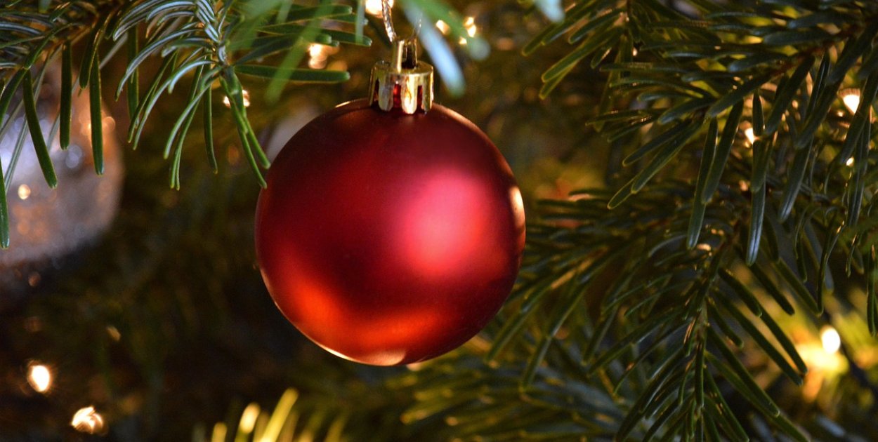 Frauke Riether z Pixabay