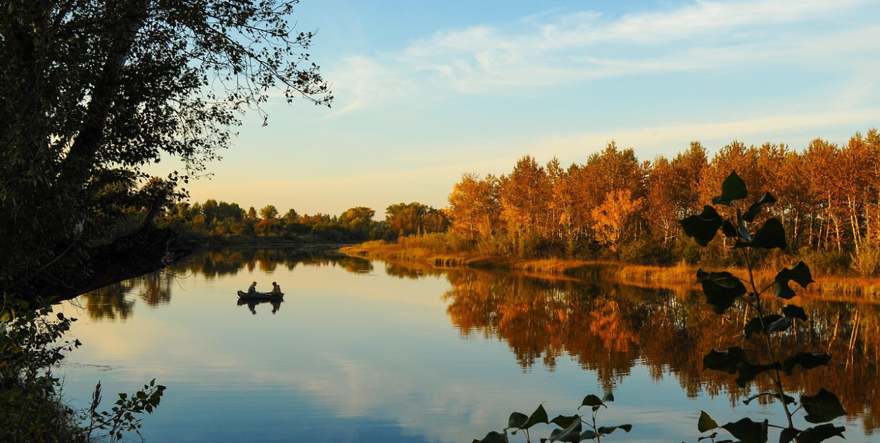 Larisa Koshkina z Pixabay