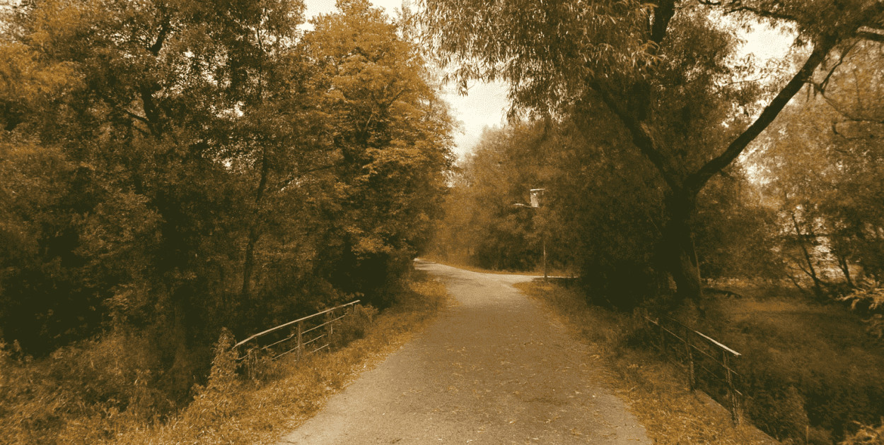 Planowany most i drogi powiatowe w Dzbanicach/ Zdjęcie: Google Maps