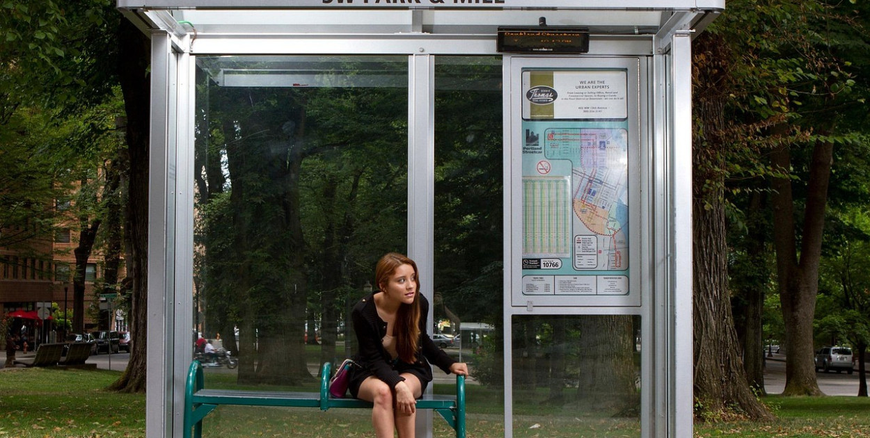  PublicDomainPictures z Pixabay