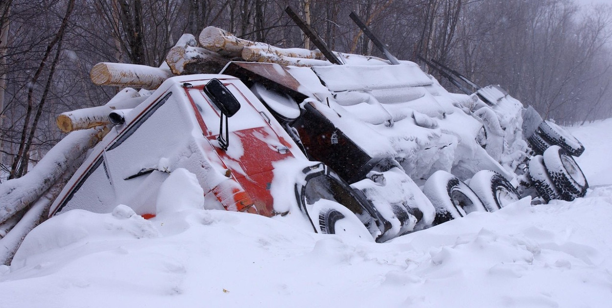 z Наталья Коллегова z Pixabay