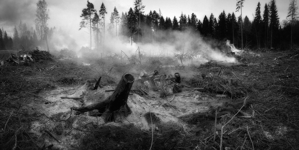  ojkumena from Pixabay