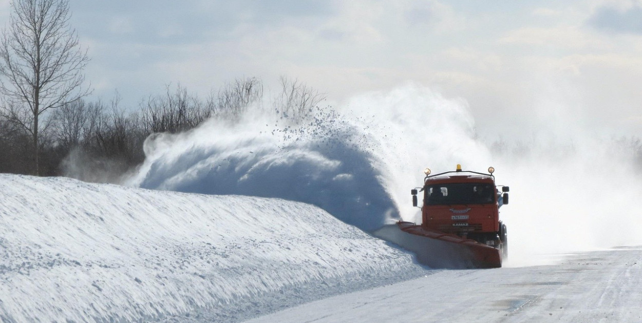 Наталья Коллегова z Pixabay