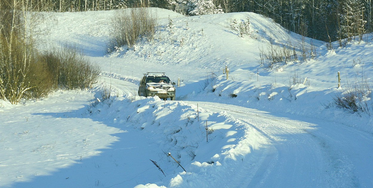  💚🌺💚Nowaja💚🌺💚 z Pixabay