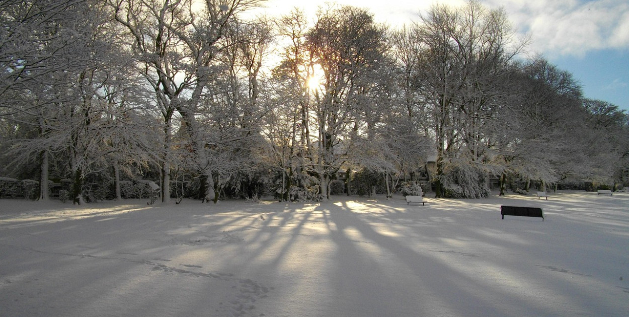  Patrick Routledge z Pixabay