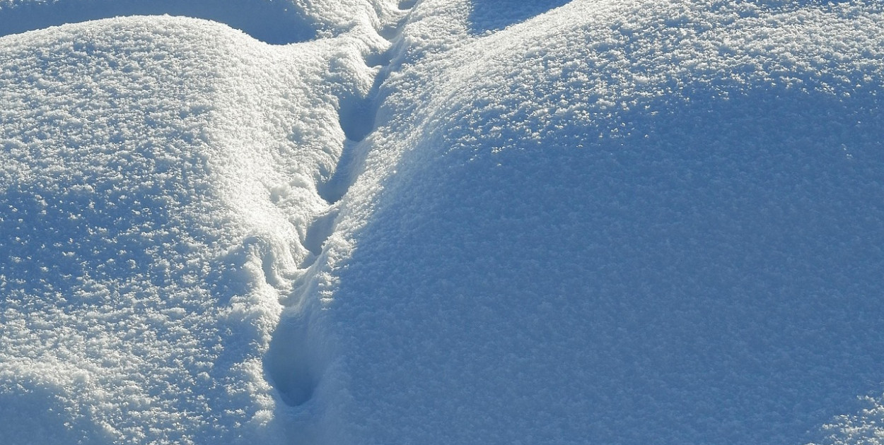 Zwłoki zaginionej 67-latki odkryto w zaspie śniegu; zatrzymano 45-latka