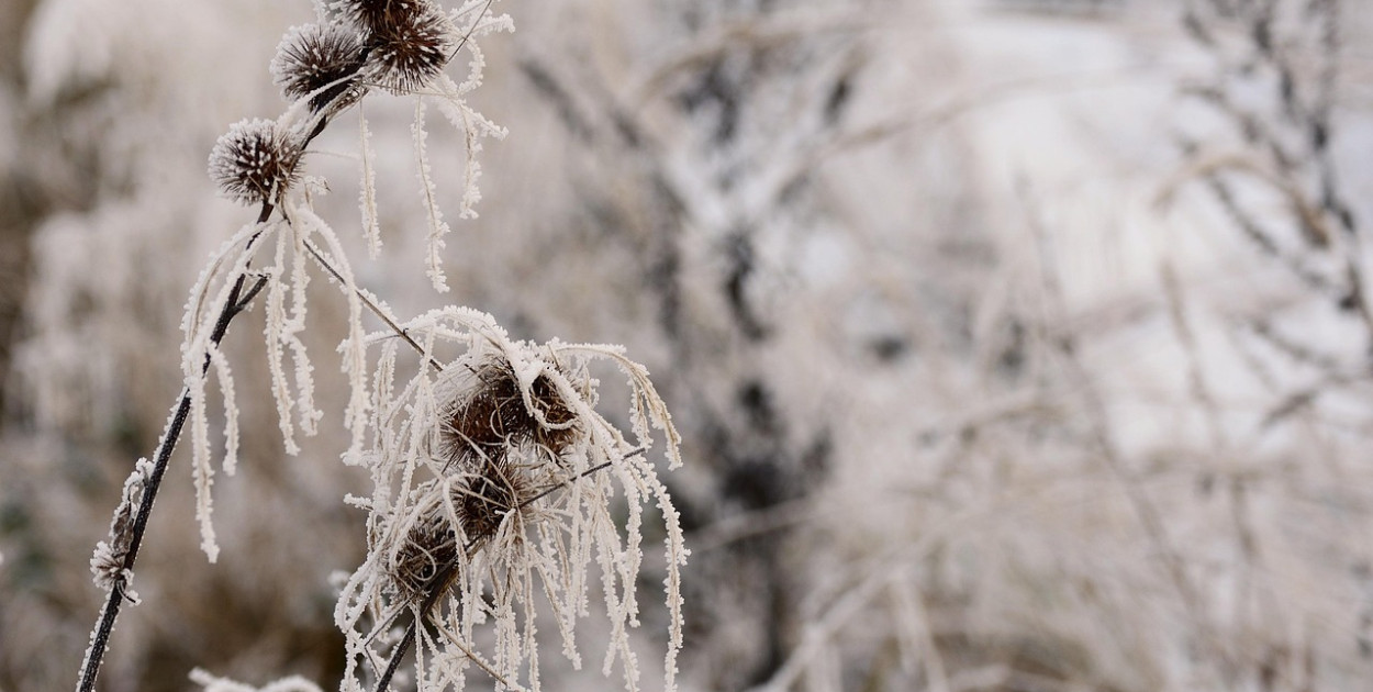 IMGW ostrzega przed silnym mrozem i opadami marznącymi