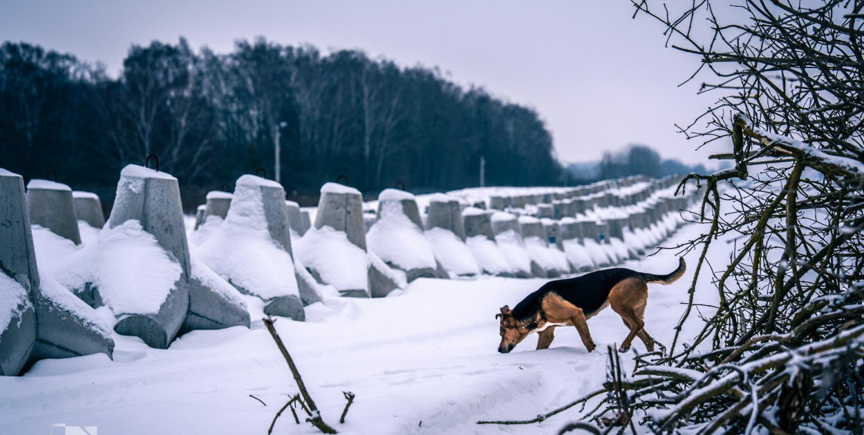 Tarcza Wschód: realne wzmocnienie naszego bezpieczeństwa