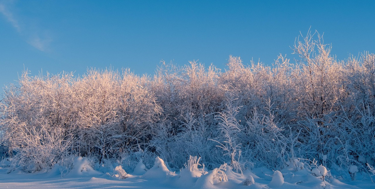 W najbliższych dniach rozpogodzenia, opady śniegu i mróz do minus 25 st. C