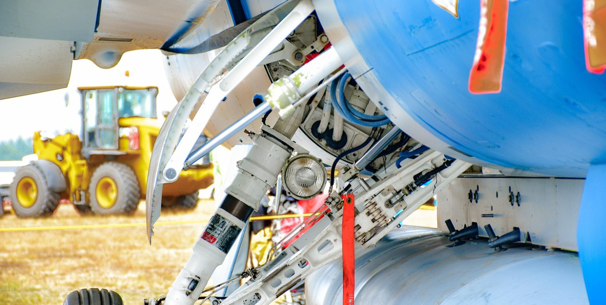 Wskazano zawody, które będą szczególnie poszukiwane! Warto je poznać!