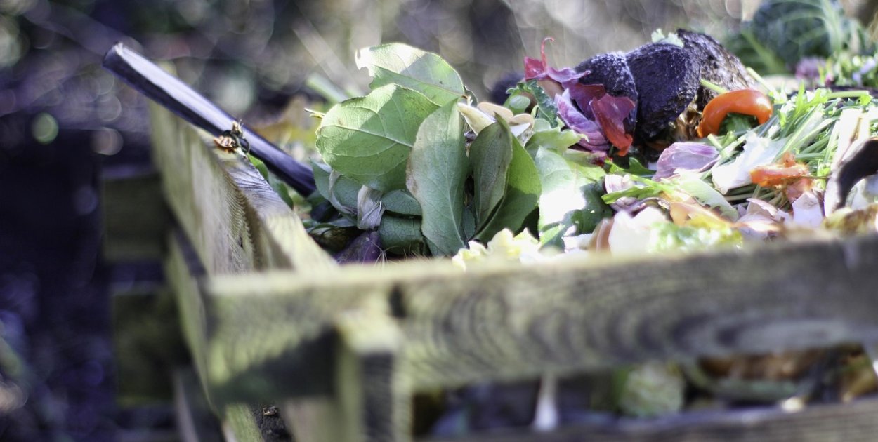 Zdecydowali się policzyć... kompost!