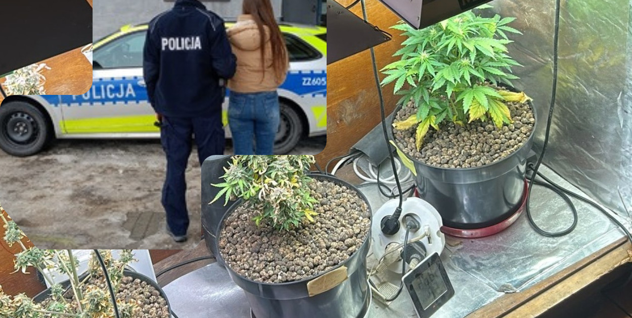 Narkotyki w mieszkaniu 28-latki. Decyzja Prokuratury w Pułtusku