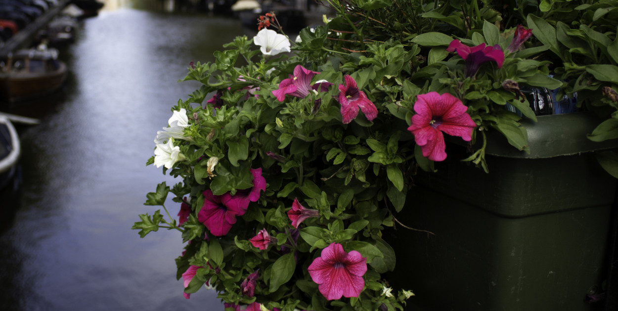 Wielkie wydatki w Pułtusku. Tego spodziewajmy się w 2026 roku