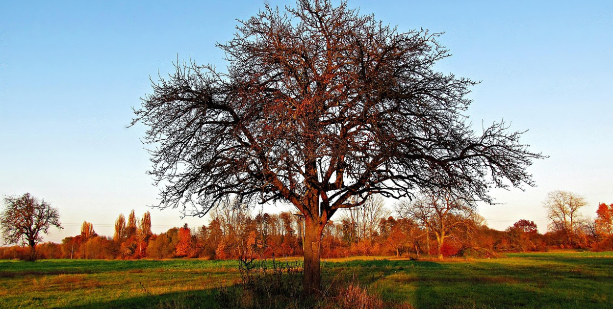 Najbliższe dni przyniosą dużo słońca i ocieplenie