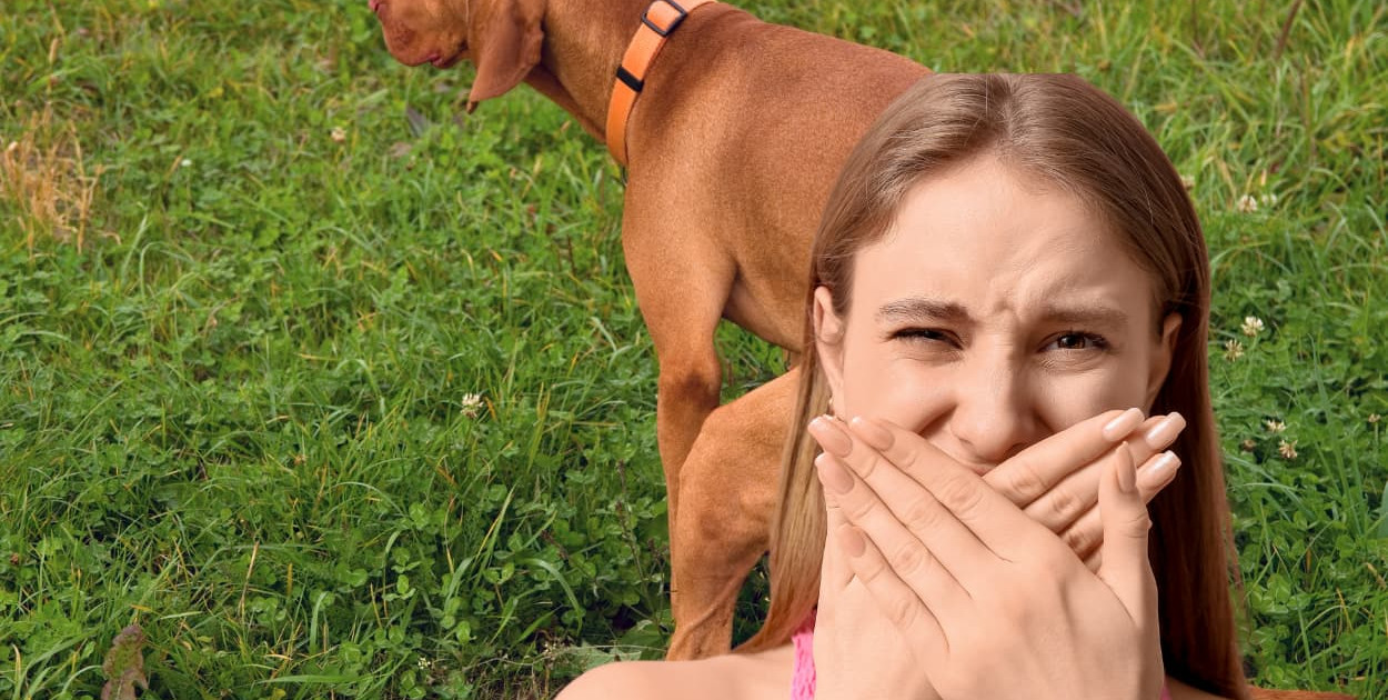 Pułtusk tonie w psich odchodach? Burza w internecie!
