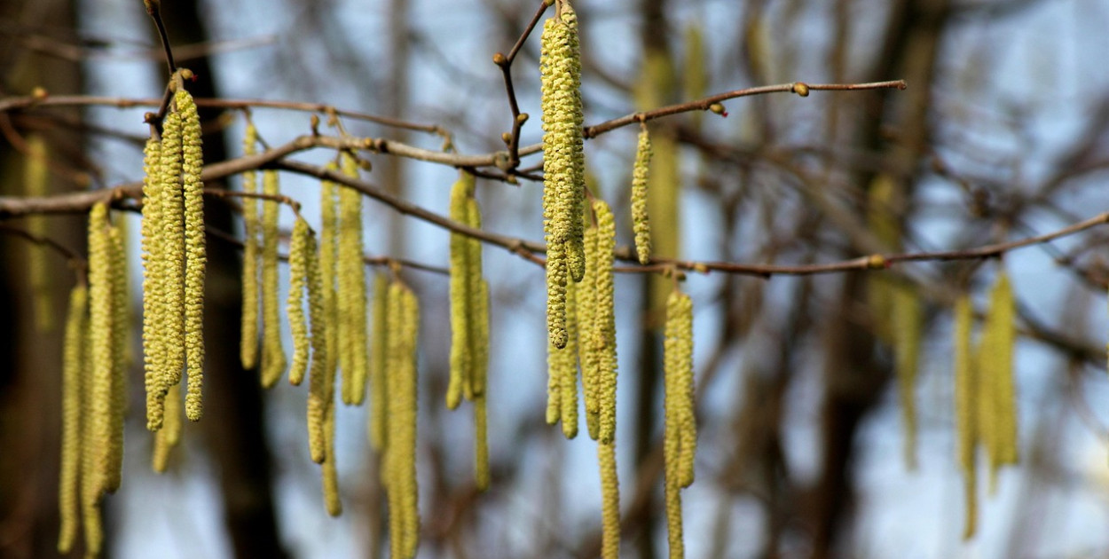 Weekend słoneczny, z temperaturami do 15 st. C; od poniedziałku cieplej!