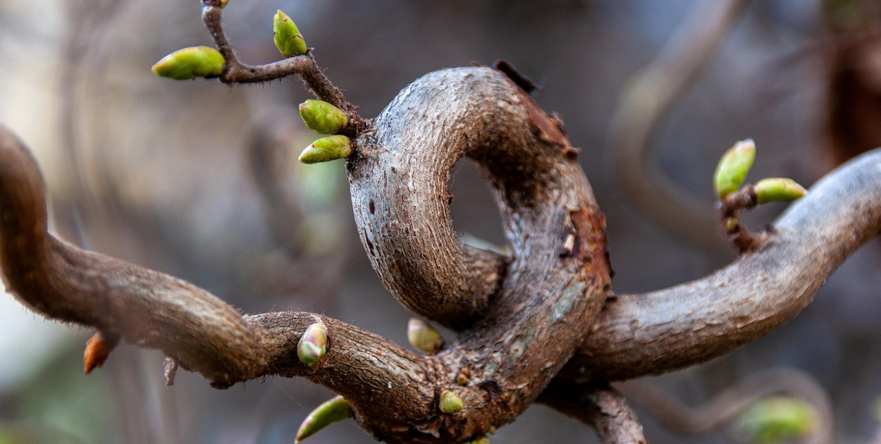 Rzeczniczka IMGW: Wielkanoc z napływem arktycznych mas powietrza