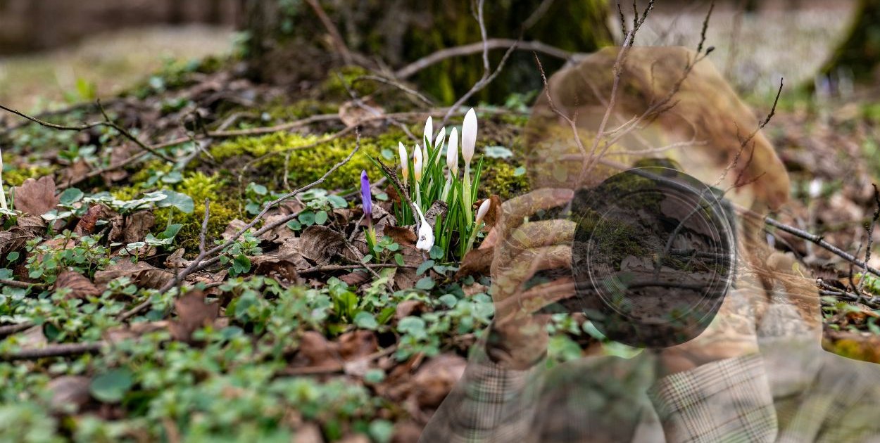 Wiosna w Pułtusku startuje wcześniej. Zobacz atrakcje