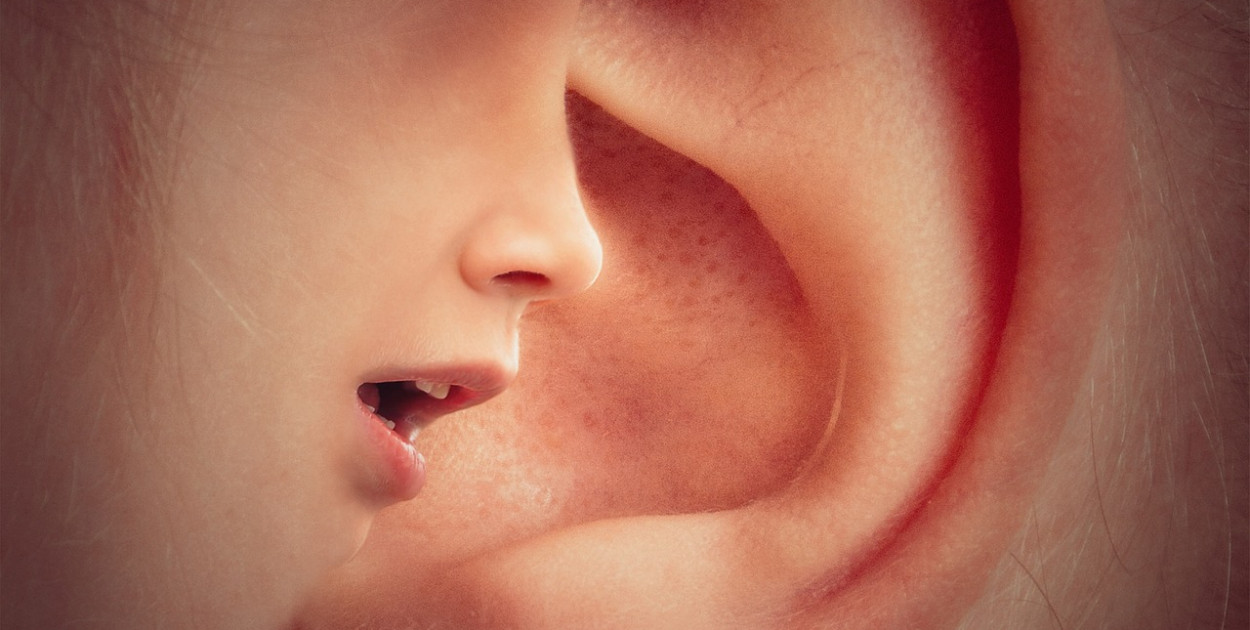 Anonimowe zgłoszenia w Pułtusku. Sprawdź, jak to działa