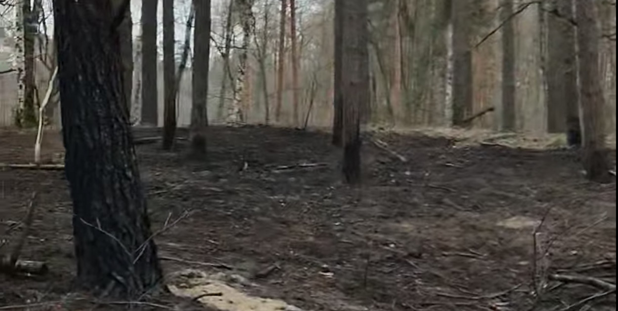 21 arów spłonęło błyskawicznie! Strażacy zapobiegli katastrofie