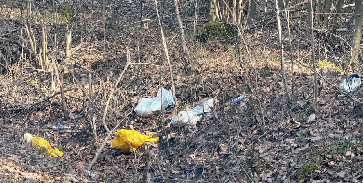 Efekt ekologiczny? Minęło już ponad ćwierć wieku...