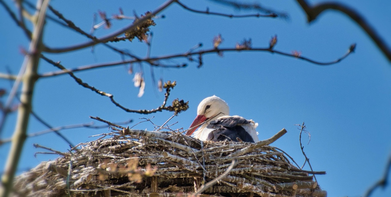 Witamy astronomiczną wiosnę